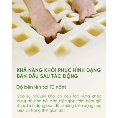 Nệm Cao Su Thiên Nhiên Tatana Cool Fresh, Áo Vải Cooling Làm Mát- Mền Mại, Êm Ái, Độ Đàn Hồi Cao -  Bảo hành 12 năm.