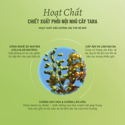 Xà Bông Rửa Mặt Thuần Chay Nha Đam Heebee