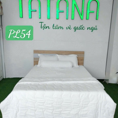 Bộ Ga TC Tatana Silver 4 Món Cao Cấp, Chất Vải Mềm Mịn Thoáng Mát - Màu ngẫu nhiên