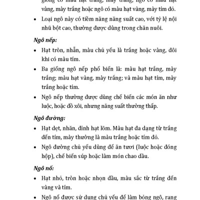 Nông Nghiệp Xanh Và Sạch - Trồng Ngô Sạch Năng Suất Cao