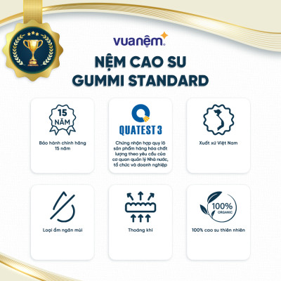 Nệm cao su 100% tự nhiên cao cấp Gummi Standard 2.0 10cm tại Vua Nệm - Nâng đỡ vượt trội, thoáng kí tối ưu