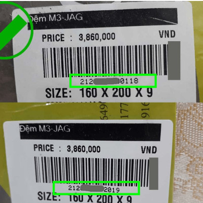 Nệm Bông Ép Gấp 3 Everon Padding chính hãng _ Màu ngẫu Nhiên-Bảo hành 5 năm.