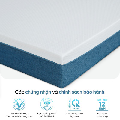 Nệ̣m Foam 3 Zone Thuần Việt - Nâng Đỡ 5 Vùng, Êm Ái, Thoáng Khí - Bảo Hành 12 Năm