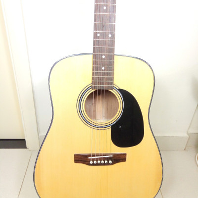 Đàn Guitar Acoustic Natural DD120