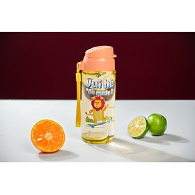 Bình nước cầm tay phong cách minimalism chính hãng Rạng Đông, dung tích 500ml/700ml, phù hợp với mọi đối tượng, màu sắc bắt mắt, dễ dàng mang theo, chống tràn, chống rỉ nước dù bị úp ngược