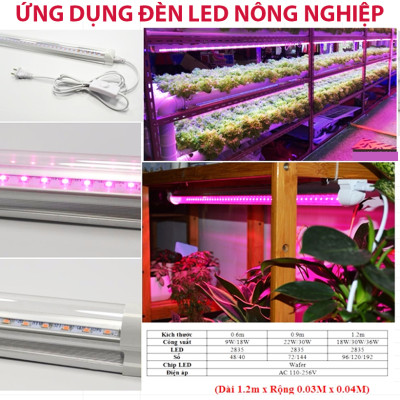 Combo 5 Bộ Đèn LED Trồng Hoa Lan trong nhà với diện tích nhiều. Đèn có ánh sáng quang phổ màu tím hồng nên giúp cây, hoa và rau phát triển nhanh hơn 