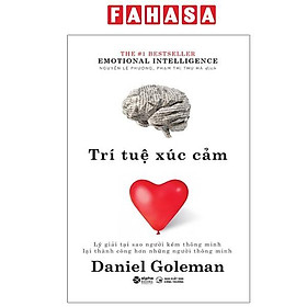 Sách - Trí Tuệ Xúc Cảm - Emotional Intelligence - Khổ Nhỏ