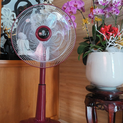 Quạt Lỡ USS -L03-Hàng chính hãng(Giao màu ngẫu nhiên)