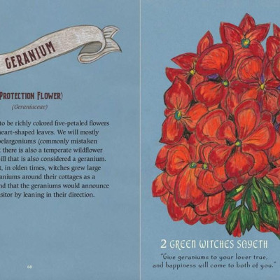 Sách - The Green Witch