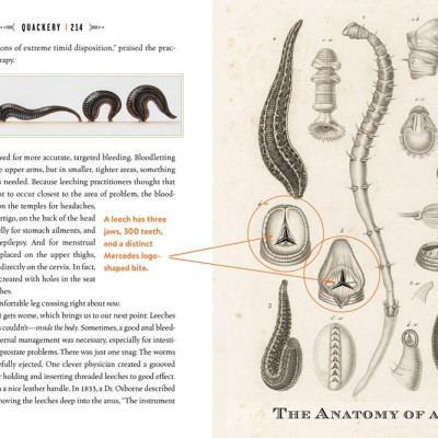 Sách - Quackery : A Brief History of the Worst Ways to Cure Everything by Lydia Kang (US edition, hardcover)