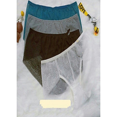 Combo 10 Quần Lót Nữ Ren cao cấp hàng việt nam 1008