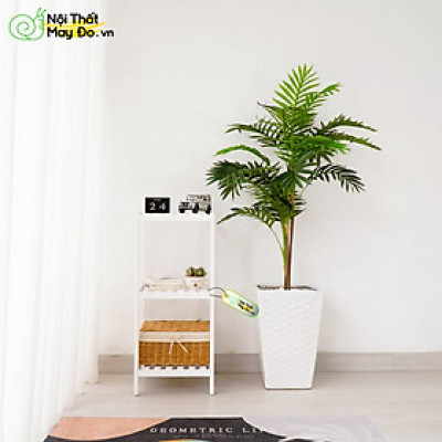 Kệ Gỗ Đa Năng- SHELF 3F - Thiết Kế 3 Tầng Hiện Đại - Chất Liệu Gỗ Thông Bền Chắc - Dễ Di Chuyển - Có 2 Màu Sắc