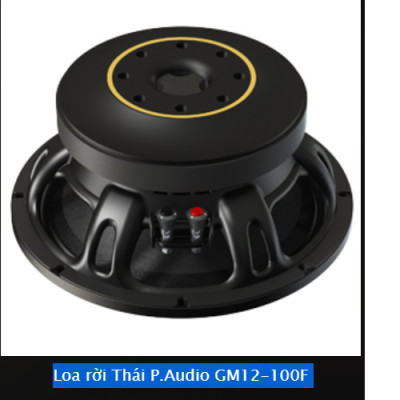 LOA RỜI PAUDIO 3 TẤC GM12-100F (12") (1 cặp) – Hàng Chính Hãng