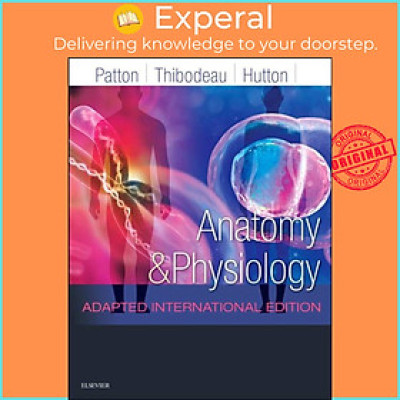Sách - Anatomy and Physiology - Adapted International Edition by Gary A., PhD Thibodeau (UK edition, paperback)