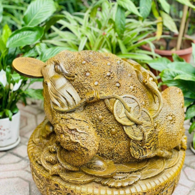  Tượng Cóc ,thiềm thừ ngậm tiền vàng ,phong thủy hút tài lộc  bằng gỗ mun đuôi công kt cao 40×46×48cm
