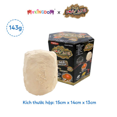 Đồ Chơi BONEZALIVE Bộ Khảo Cổ Khai Quật Xương Sống Dòng Lớn 59769