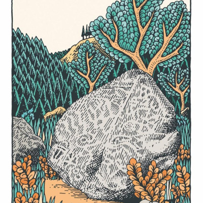 Sách - The Wilderness Collection by Claire Scully (UK edition, Hardcover Paper over boards)