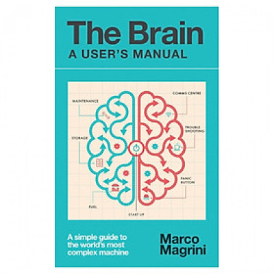 The Brain: A User