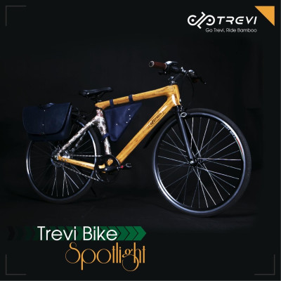 Xe đạp tre trợ lực điện Trevi Spotlight - TREVI BIKE