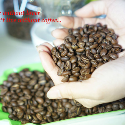 Cà phê hạt Arabica Cầu Đất nguyên chất 100% Coffee Tree 1kg thơm nồng, vị nhẹ, gu tây - Cà phê Đà Lạt tuyển chọn hoàn toàn trái chín rang công nghệ Châu Âu