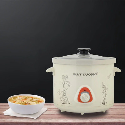 Nồi Tiềm Nấu Cháo Chậm Kho Cá Hầm Chưng Yến Đa Năng ĐẠT TƯỜNG DTSC-4.5S (4,5 lít) - Hàng Chính Hãng