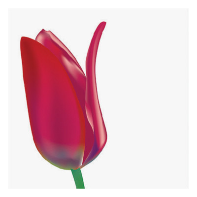 Tranh đồng hồ treo tường HOA XINH TƯƠI THANH LỊCH - Q6D7_40V_DH-32 Thế Giới Tranh Đẹp