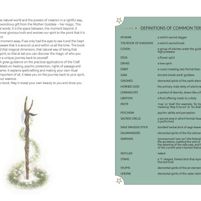 Sách - The Way of the Witch : A path to spirituality and self-empowerment by Sally Morningstar (UK edition, hardcover)