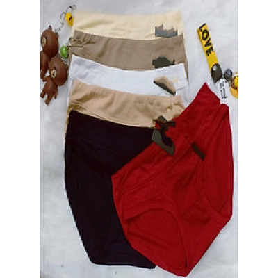 Combo 10 Quần Lót Cotton cao cấp  hàng việt Nam QL2008