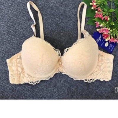 ÁO NGỰC REN MÚT ÉP VỪA-029L