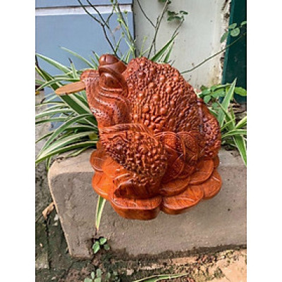 Cóc ngậm đồng tiền vàng bằng gỗ hương kt 15×14×10cm