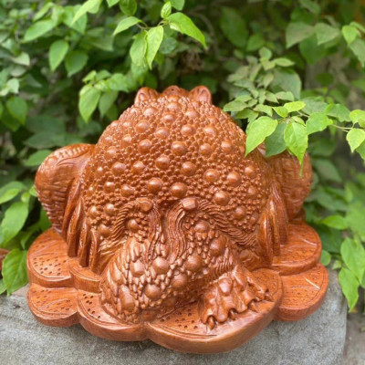 Cóc thiềm thừ phong thủy cầu tài ,lộc bằng gỗ hương đá kt 40×30×24cm 