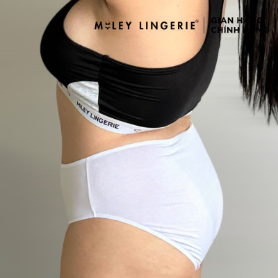 Combo 10 Quần Lót Nữ Modal Bigsize [2XL-5XL] - BCS04