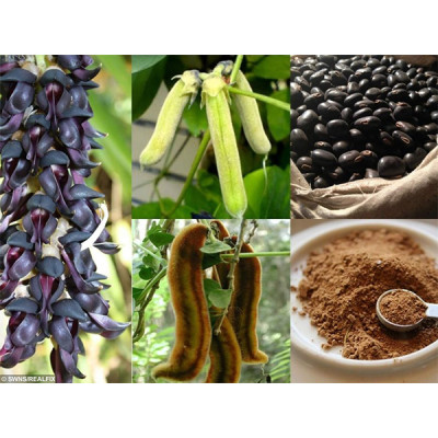 Combo Hỗ Trợ Giảm Đau Xương Khớp, Phục Hồi Tổn Thương Sụn Khớp - Nhập Khẩu Chính Hãng Từ Mỹ