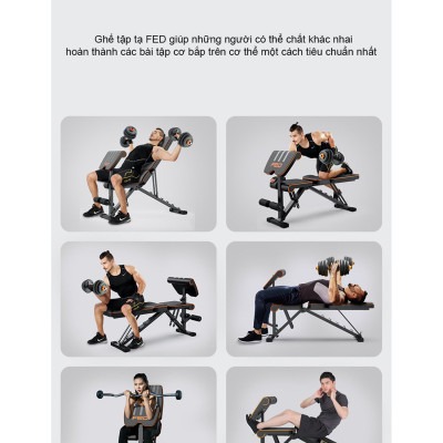 Ghế Tập Tạ Đa Năng Điều Chỉnh FED002 Nhập Khẩu Cao Cấp Chịu Lực 300kg