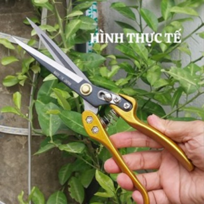 Kéo tỉa cây mũi nhọn cán bằng hợp kim dài 30cm kèm lò xo sơ cua