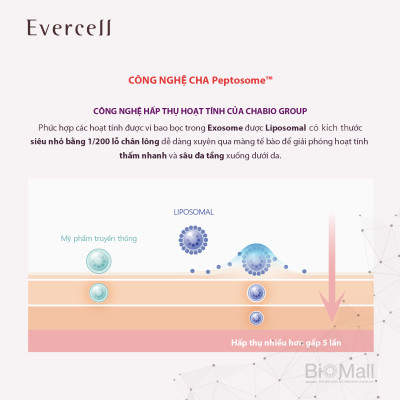 "Giải pháp chuyên gia chống Nếp nhăn sâu Công nghệ Tế bào gốc EVERCELL Deep Wrinkle Solution Expert 10ml  "