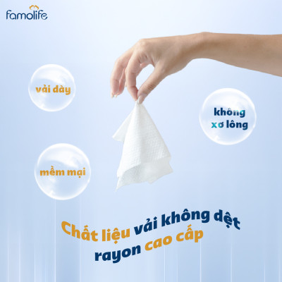 [MUA 2 TẶNG 1] COMBO 2 Khăn ướt Famolife 100 tờ không mùi mềm mịn, dưỡng ẩm vệ sinh cho người lớn
