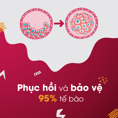 Viên uống đẹp da Collagen Sắc Ngọc Khang 120 viên thế hệ mới giúp sáng da, giảm nếp nhăn - đốm nâu, nuôi dưỡng và làm đẹp da , tóc, móng