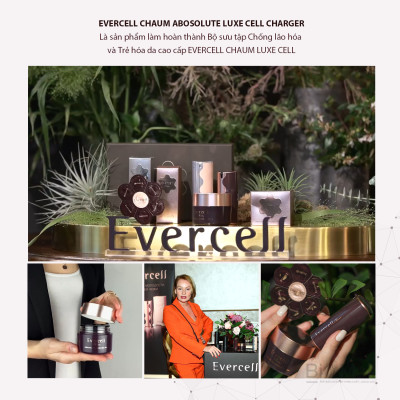 Viên Tế bào gốc đông khô tinh khiết Chống lão hóa EVERCELL Chaum Absolute Luxe Cell Charger 14 viên 