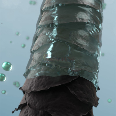 Máy sấy tóc Panasonic EH-NE85-K645 - Hàng chính hãng