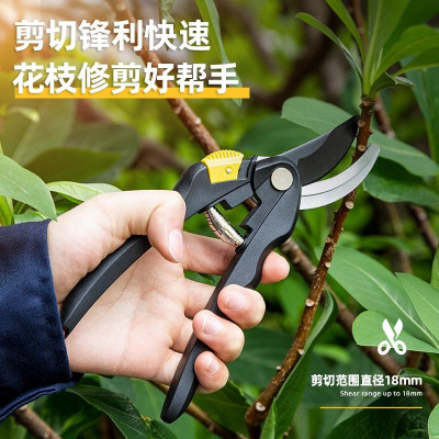 Kéo Cắt Tỉa Cành Cây Deli Chính Hãng 8inch - Lưỡi Thép Sắc Bén, Siêu Bền, Tay Cầm Đệm Cao Su An Toàn, Chắc Chắn DL580201