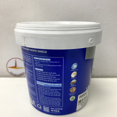 Sơn phào chỉ trong và ngoài nhà Toa 4 Seasons Tropic Shield màu B- 7271 _1L
