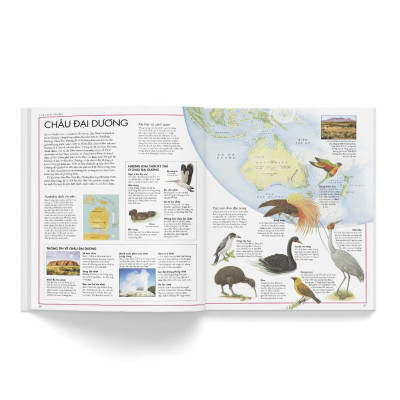 Sách - Atlas các loài chim - Bìa cứng - Đông A