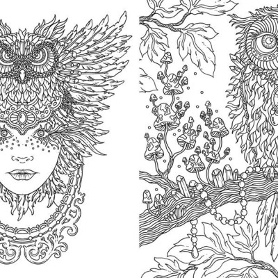 Sách - Spirit Animals Coloring Book by Hanna Karlzon (UK edition, Hardcover)