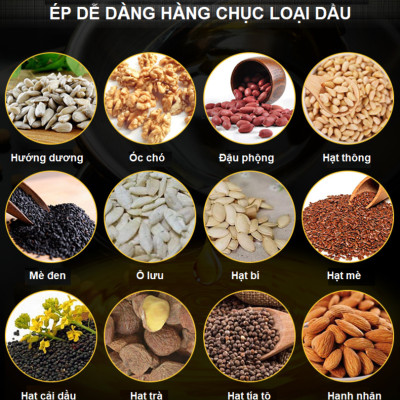 Máy ép dầu thực vật chuyên nghiệp phiên bản nâng cấp hoàn toàn thương hiệu cao cấp Septree T3 - Hàng Nhập Khẩu