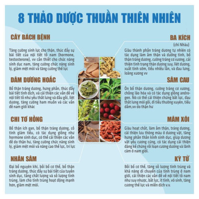 Thực Phẩm Bảo Vệ Sức Khỏe Thiên Sư - Viên Bổ thận - Bổ thận tráng dương tăng cường sinh lực