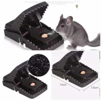 Cạm Bẫy Chuột Thông Minh