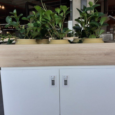 Khoá số DL12 công nghệ Singapore dành cho Tủ Locker gỗ (Locker & Lock)