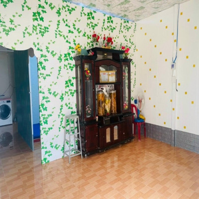 Bộ 10 Tấm Xốp Dán Tường Vân Gỗ Dây Leo Cách Âm, Chống Va Đập, Bền Đẹp, Sang Trọng