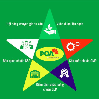 Hoàng Kỳ PQA Giúp Bổ Tỳ, Ích Khí, Tăng Cường Tiêu Hóa, Giảm Mệt Mỏi Và Giúp Ăn Ngon Miệng Hộp 10 Ống